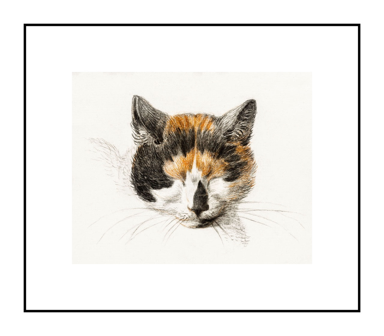 Head of A Calico Cat with Closed Eyes