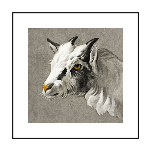 Head of A Goat