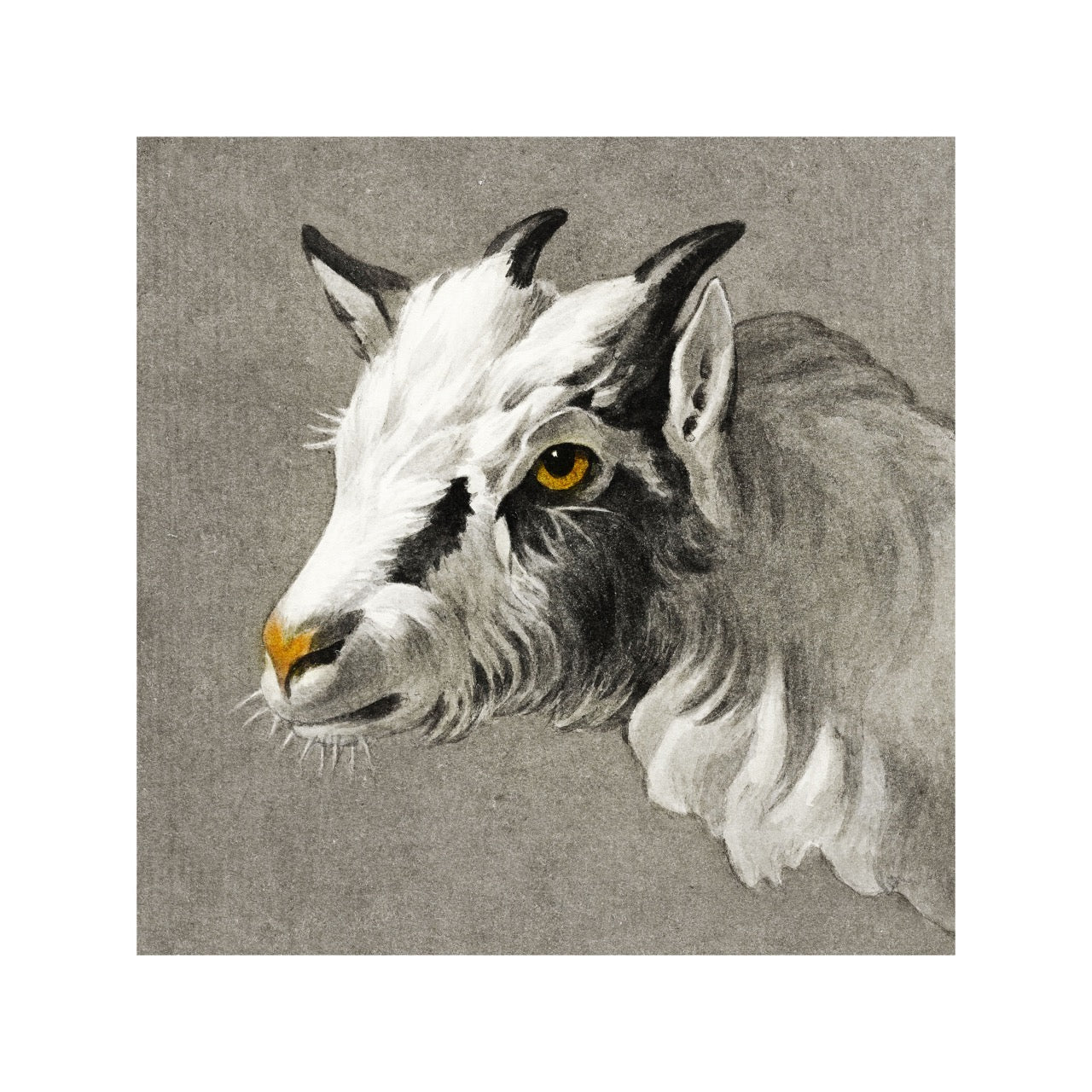 Head of A Goat