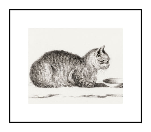 Lying Cat for A Dish