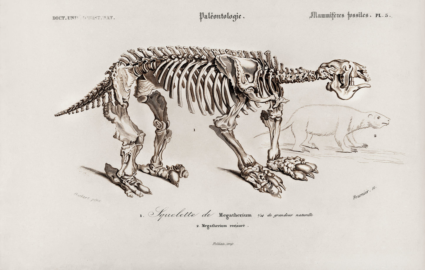 Megatherium Illustration - Giclee Art Print Poster