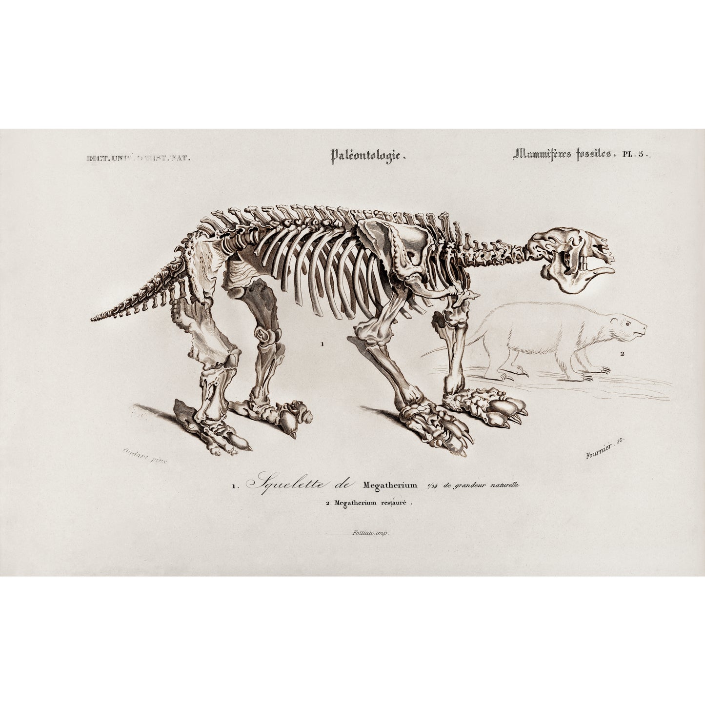 Megatherium Illustration - Giclee Art Print Poster