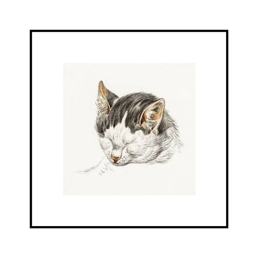 Sketch of A Cat