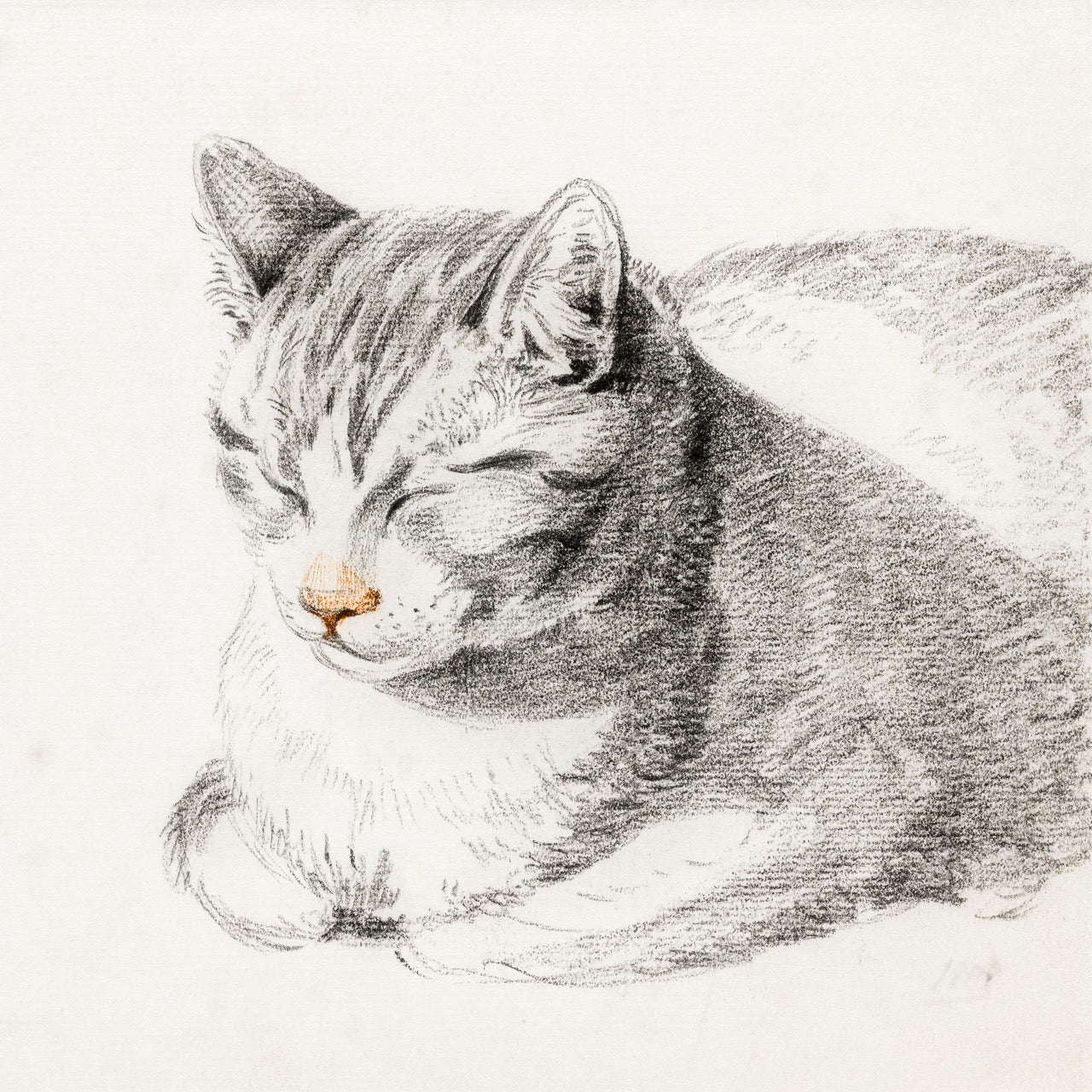 Sketch of A Cat