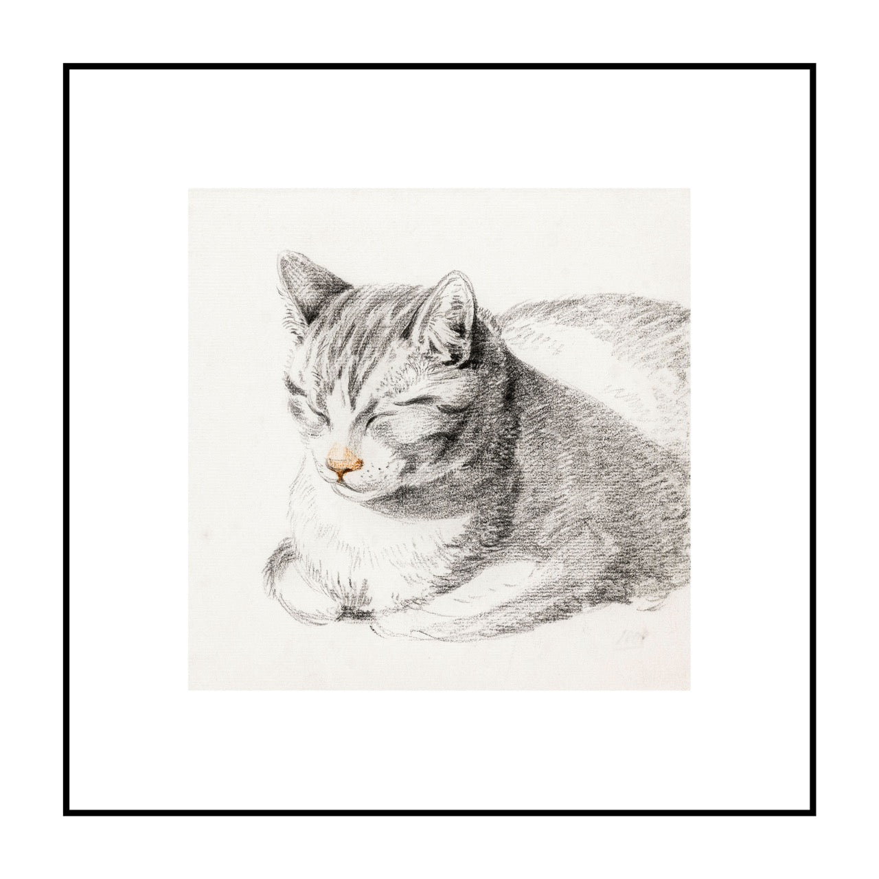 Sketch of A Cat