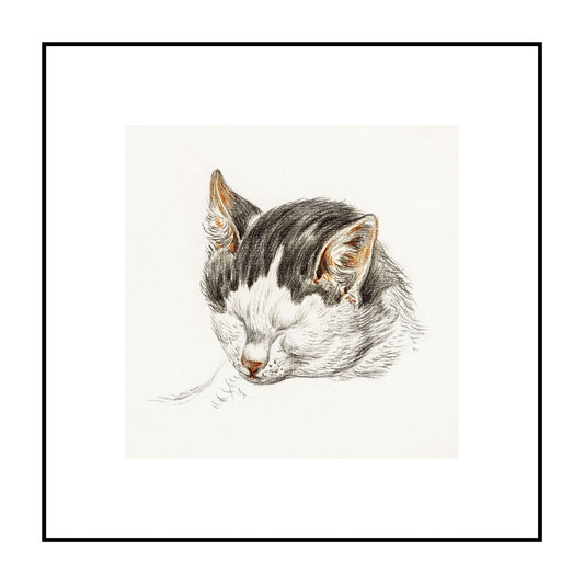 Sketch of A Cat