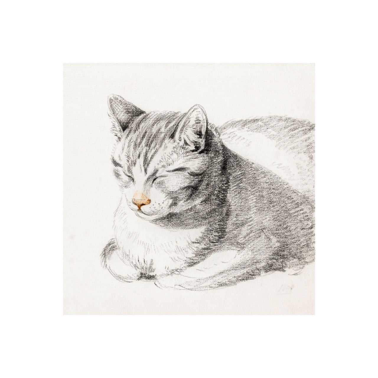 Sketch of A Cat