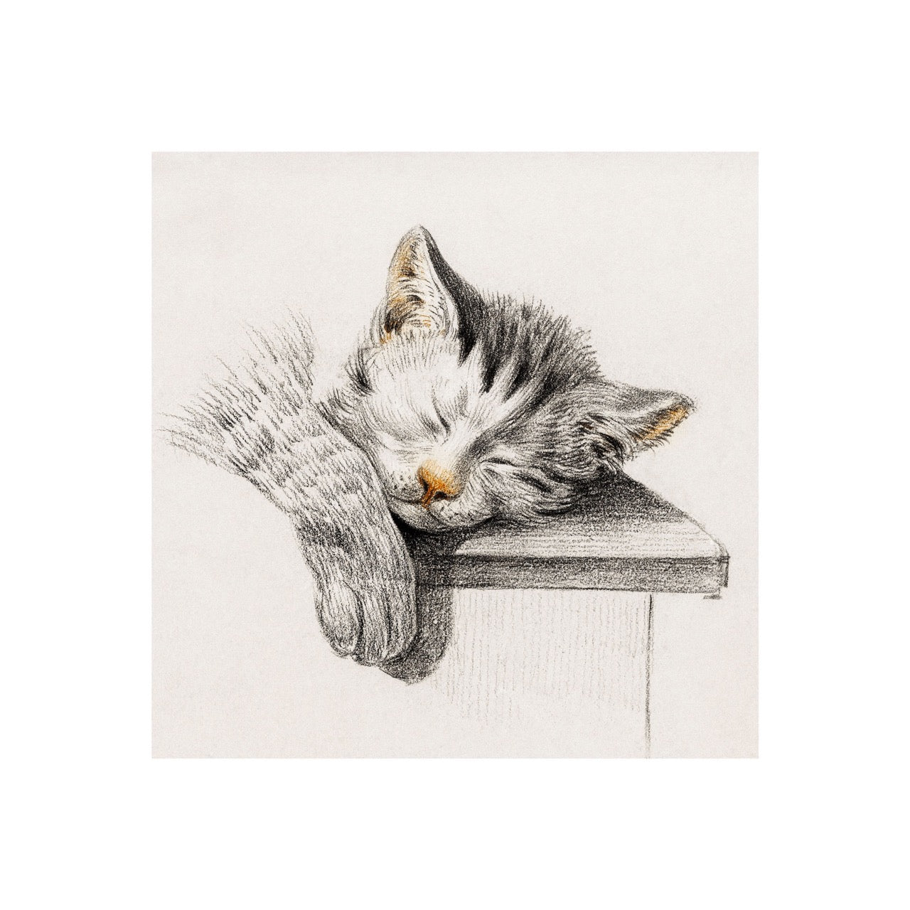 Sketch of A Sleeping Cat