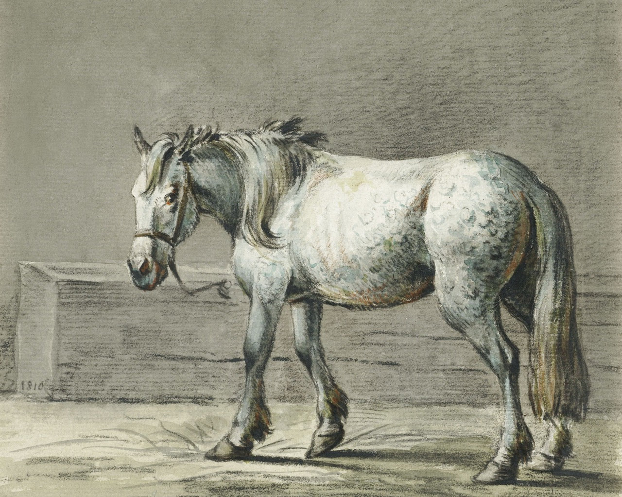 Standing Horse