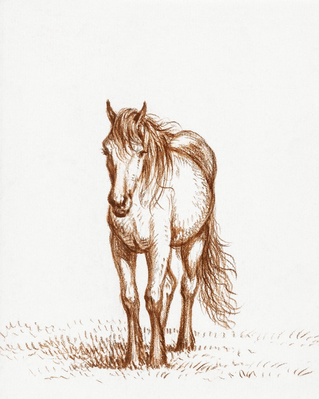 Sitting Horse