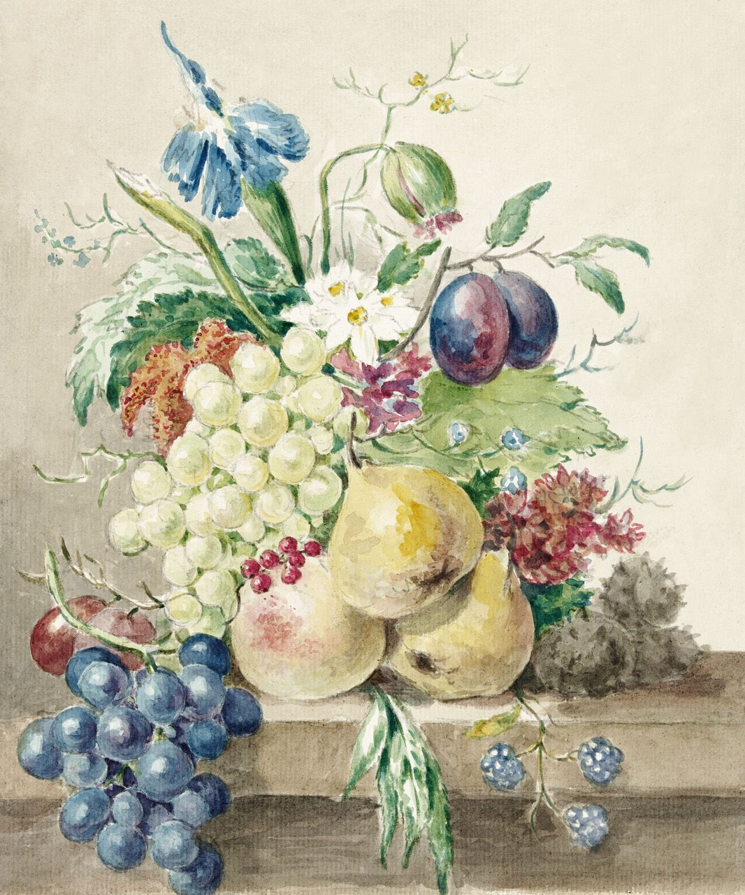 Still Life of Flowers and Fruits Drawing