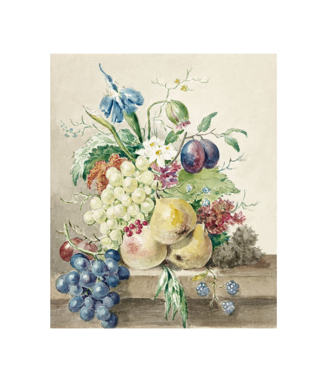 Still Life of Flowers and Fruits Drawing