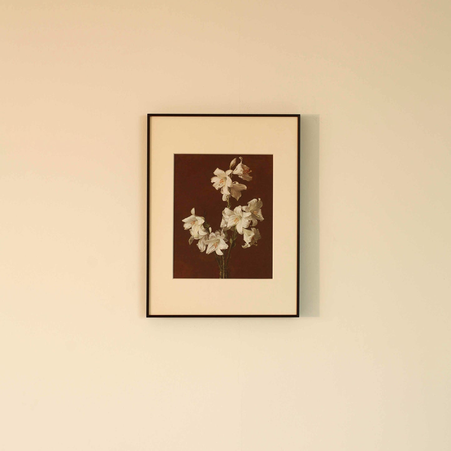 White Lilies by Henri Fantin-Latour | Framed Wall Art Print