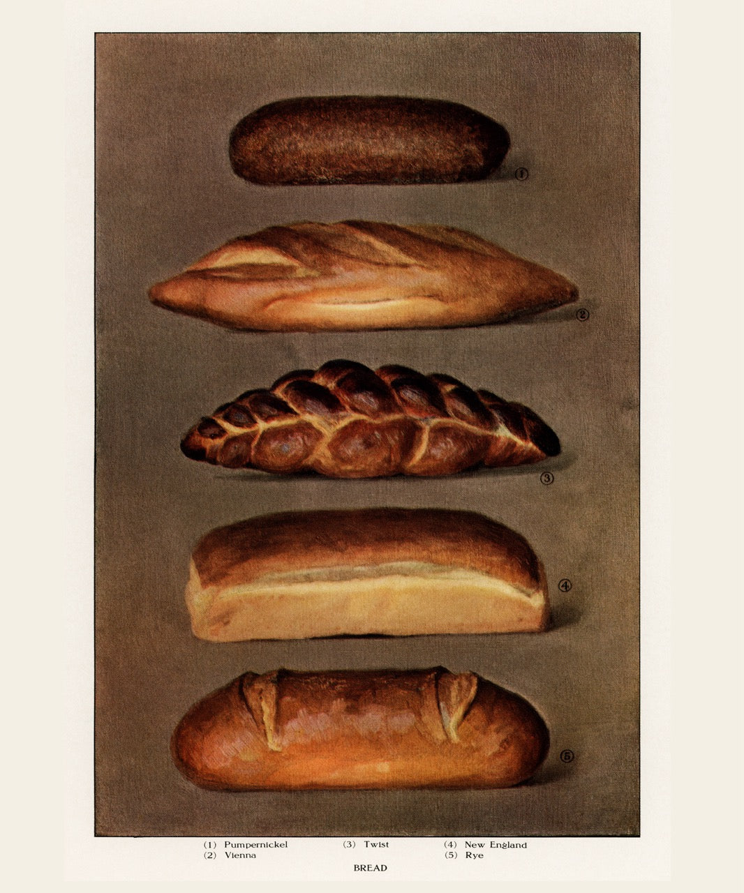 Various Types of Baked Bread Loaves