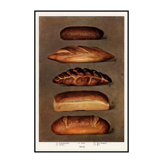 Various Types of Baked Bread Loaves
