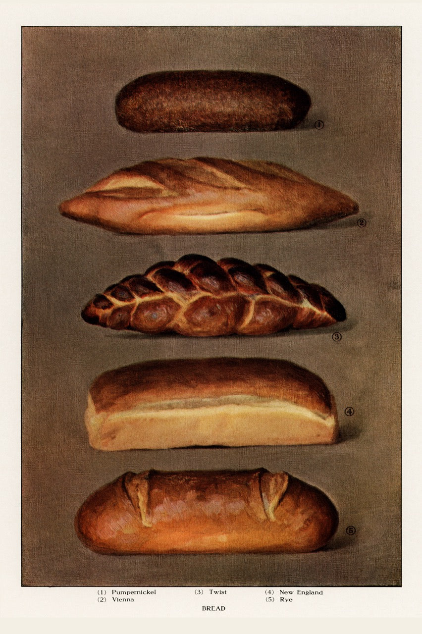 Various Types of Baked Bread Loaves