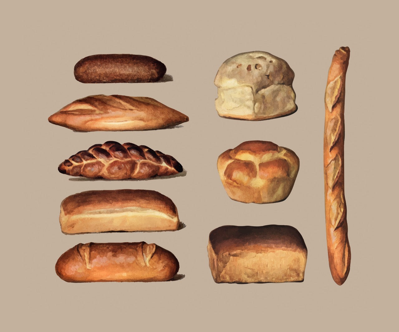 Various Types of Baked Bread Loaves