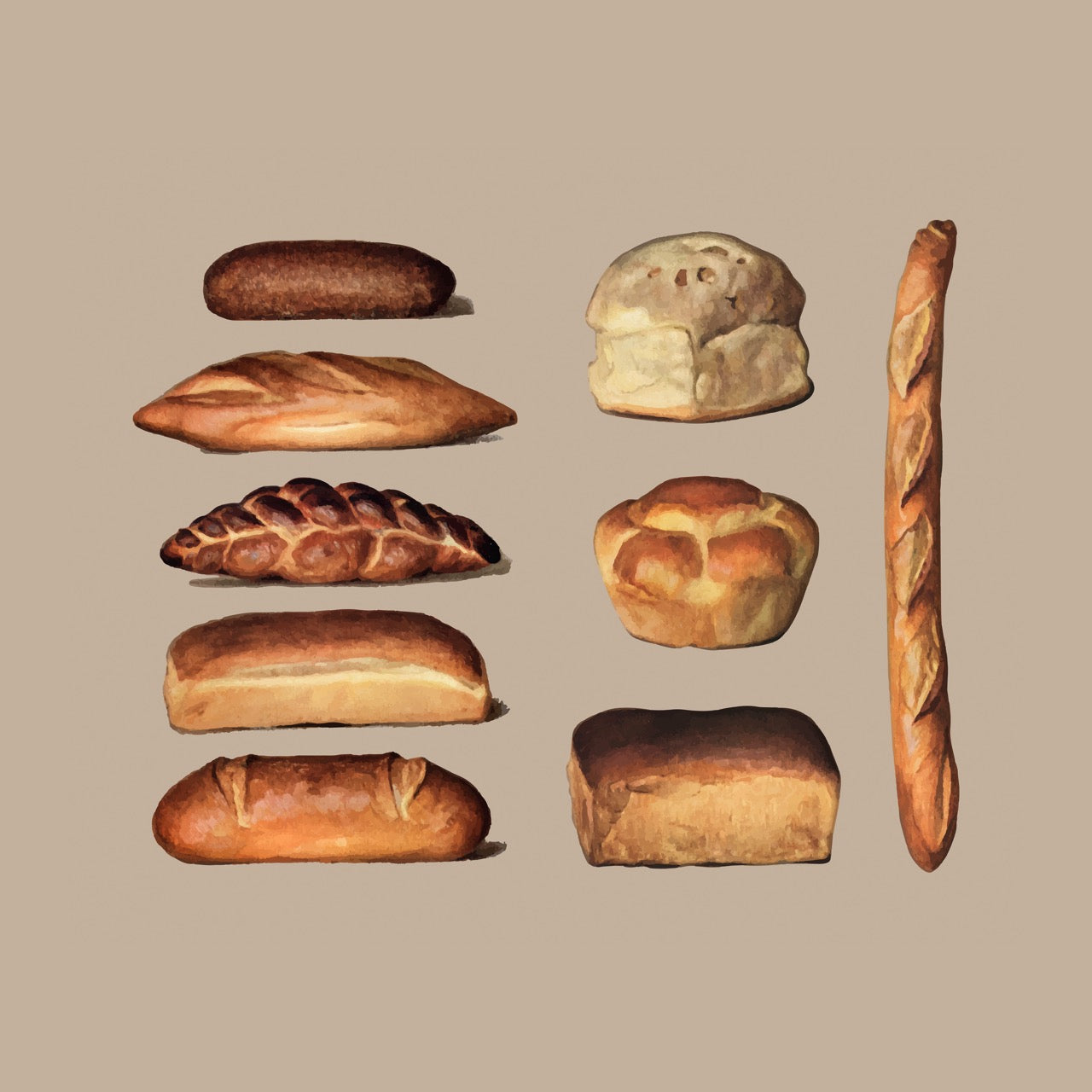 Various Types of Baked Bread Loaves