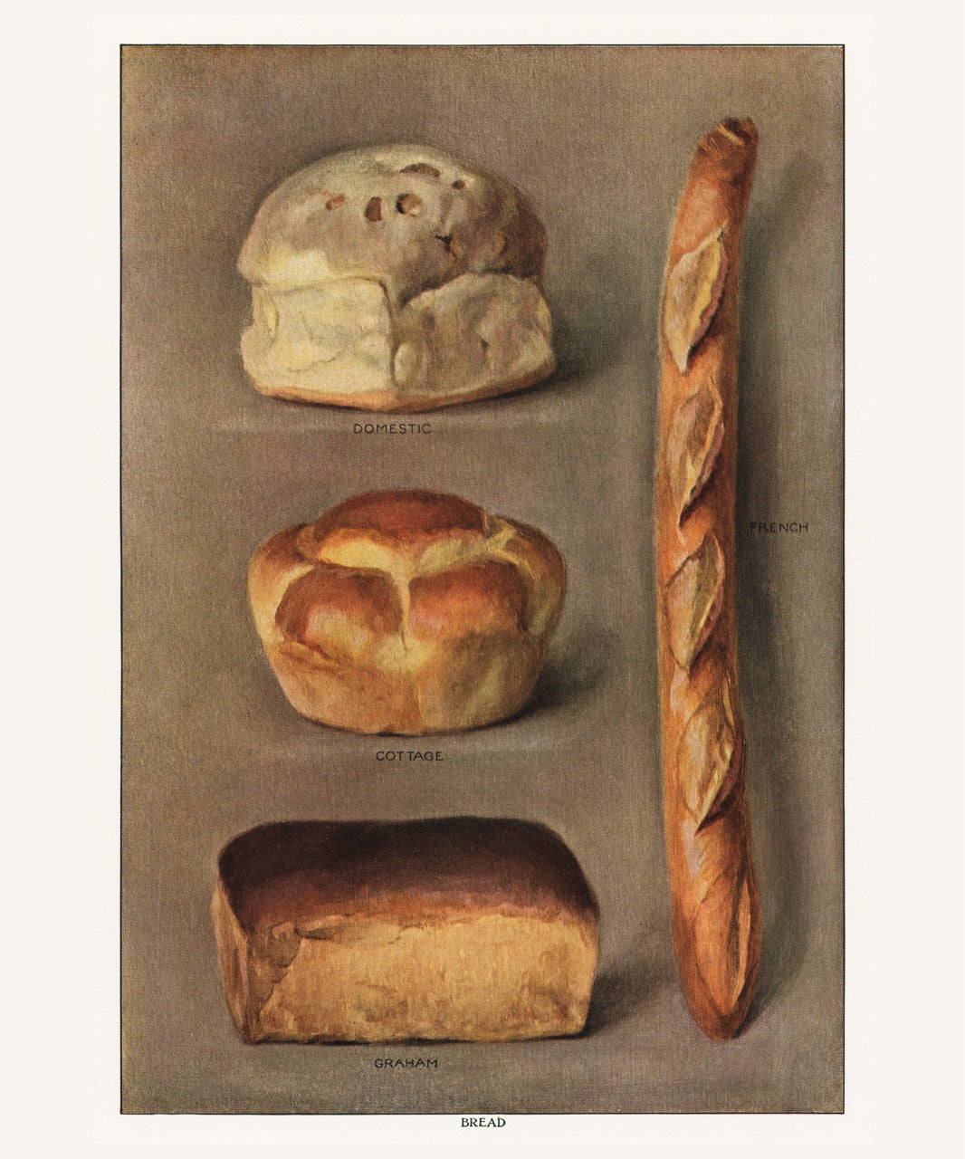Various Types of Baked Bread Loaves