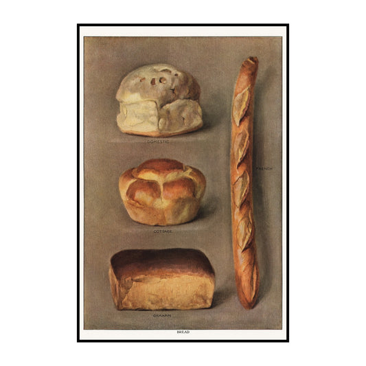 Various Types of Baked Bread Loaves