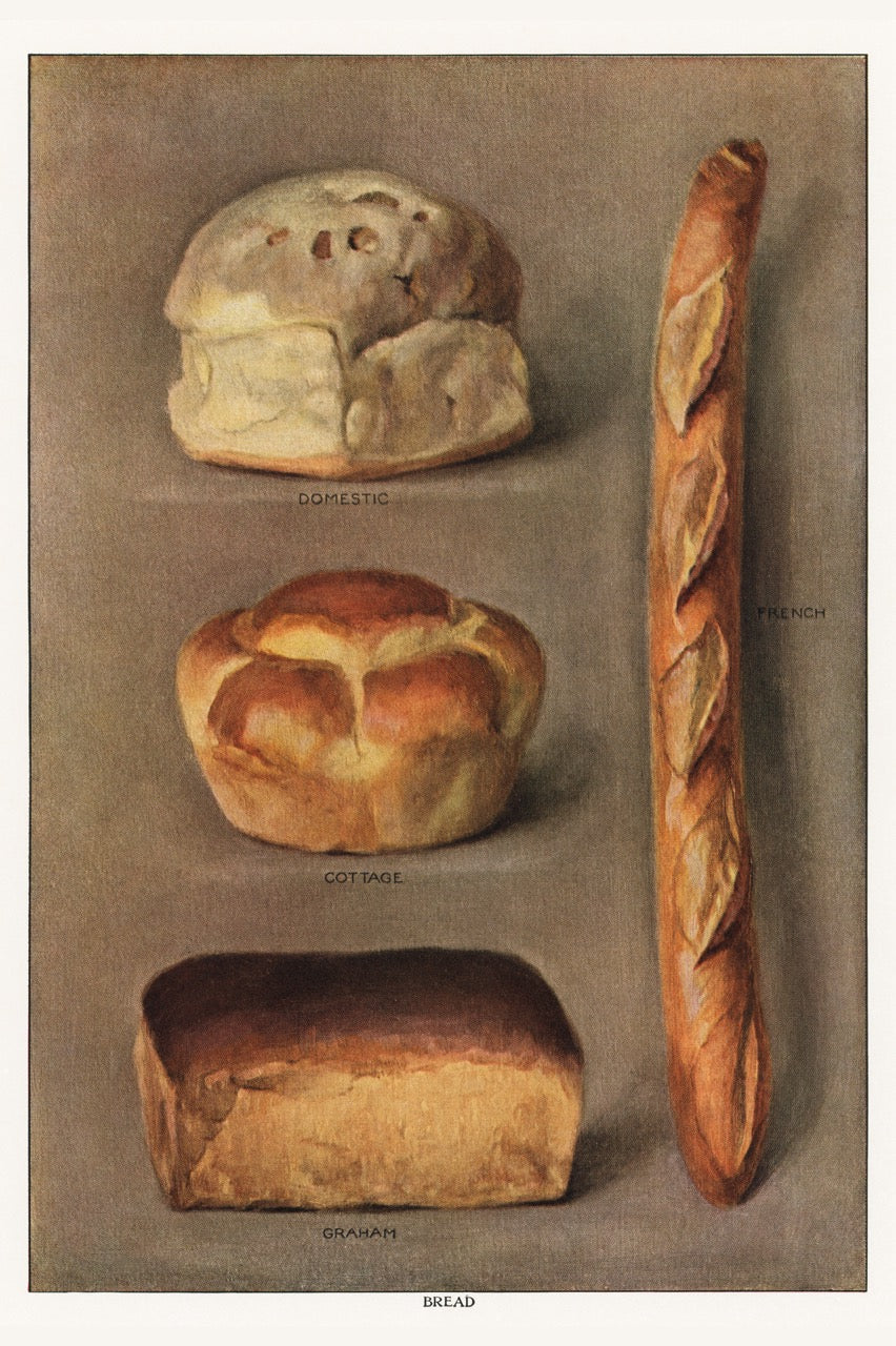 Various Types of Baked Bread Loaves